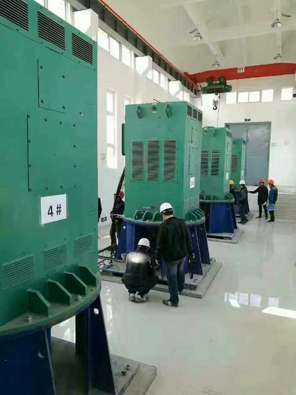 YKK7107-6某污水处理厂使用我厂的立式高压电机安装现场